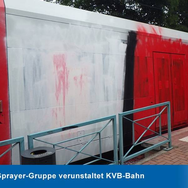 sprayer (1)