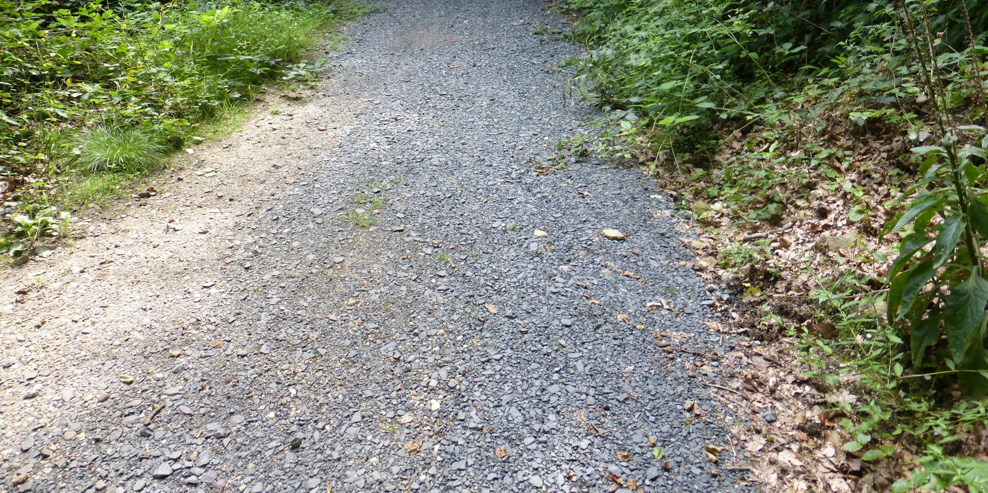 agger-suelz-radweg-6