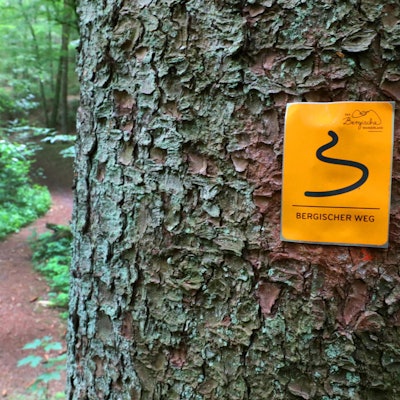 Wandertag_Hoffnungsthal_Dchatten_9223