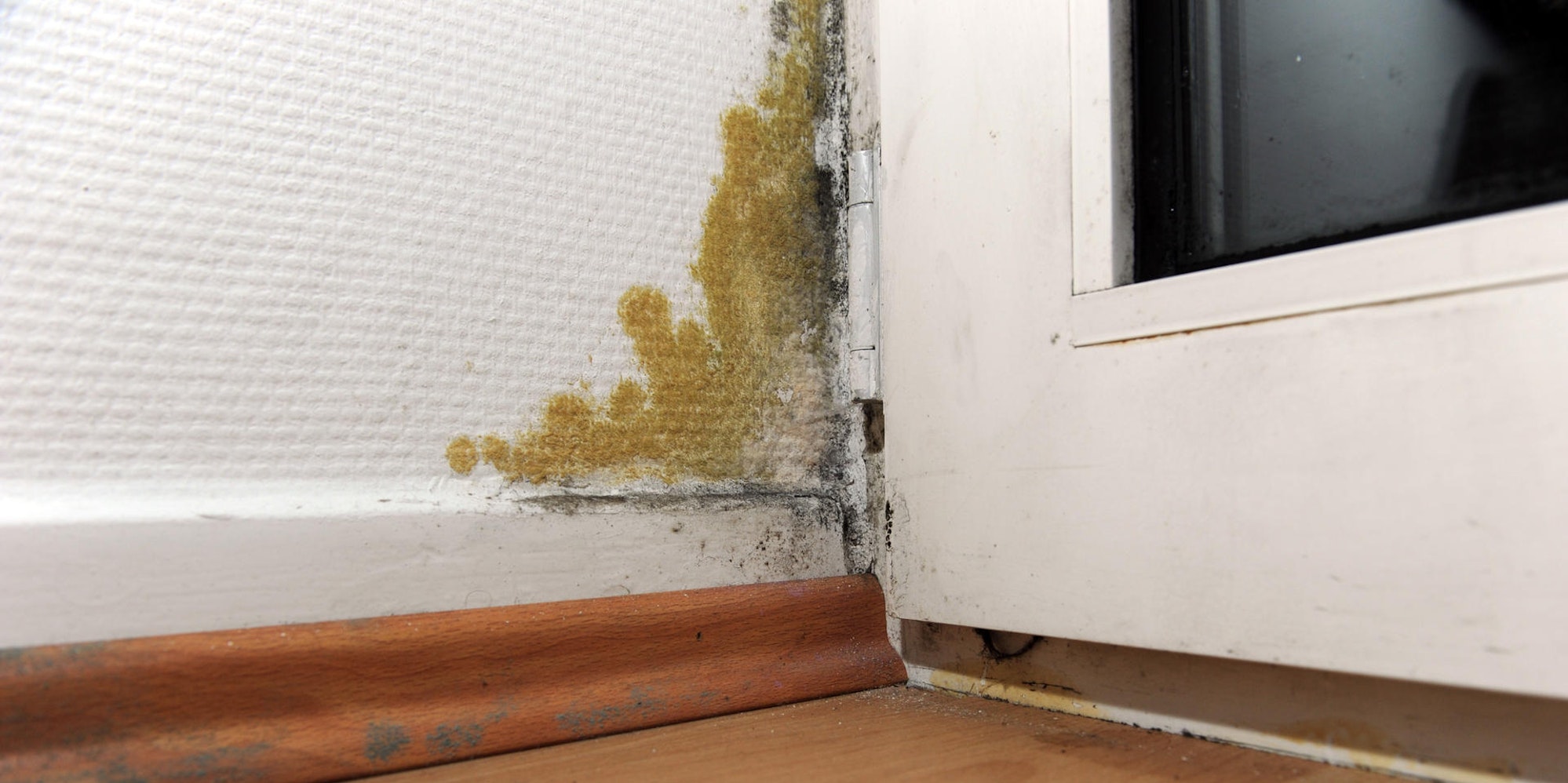 Schimmel_in_der_Wohn_39928479