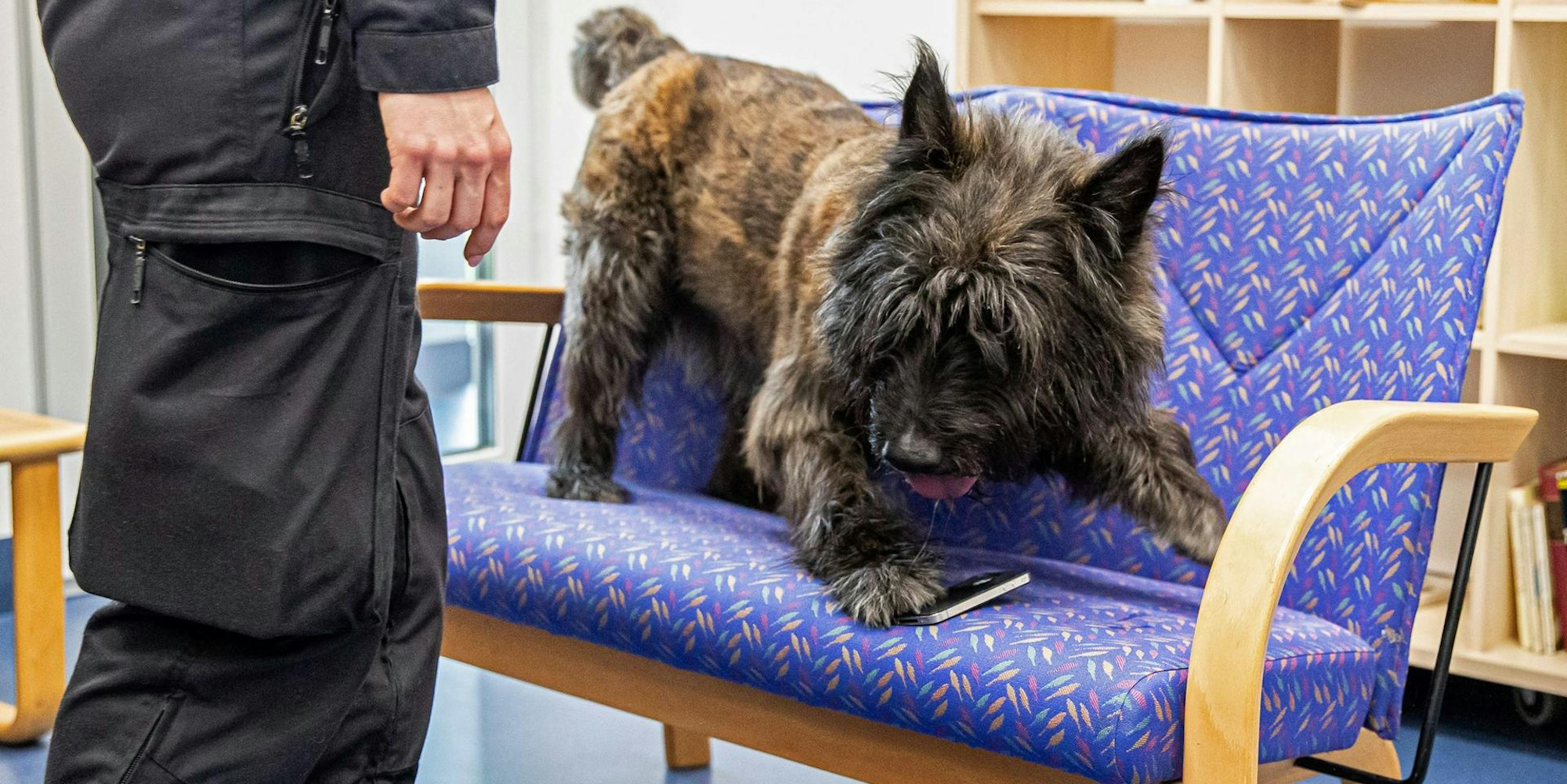 Ali Baba Polizei dpa 151019