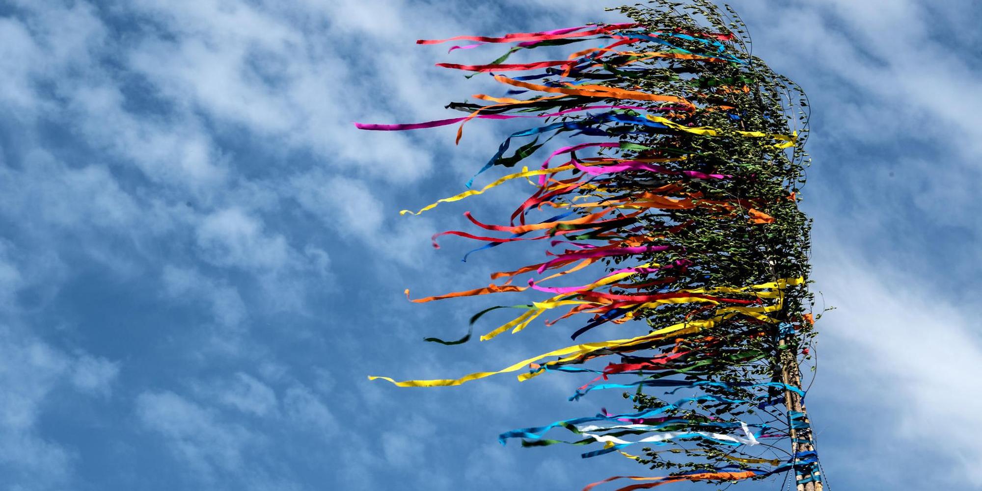 maibaum