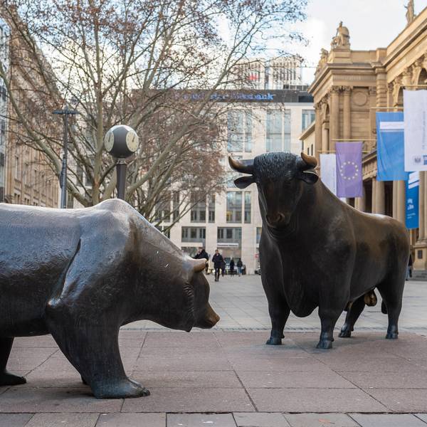 Bulle und Bär