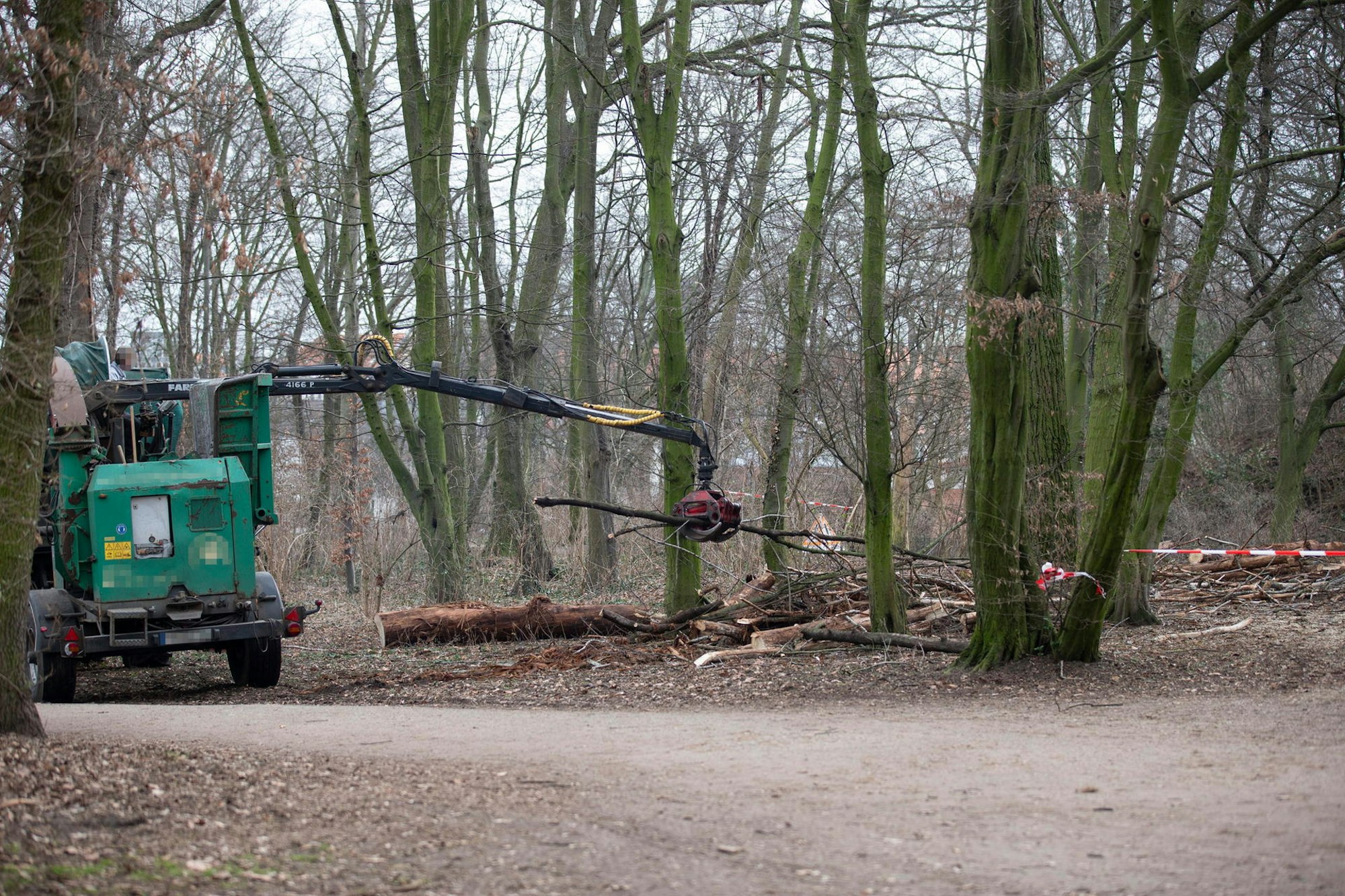 20210222_tb_Baumfaellung_FortX_001