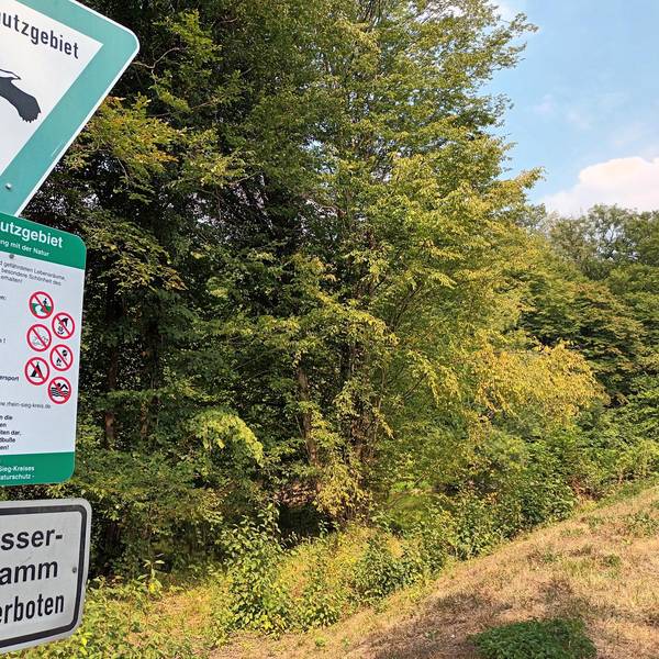 Neuer Inhalt (3)