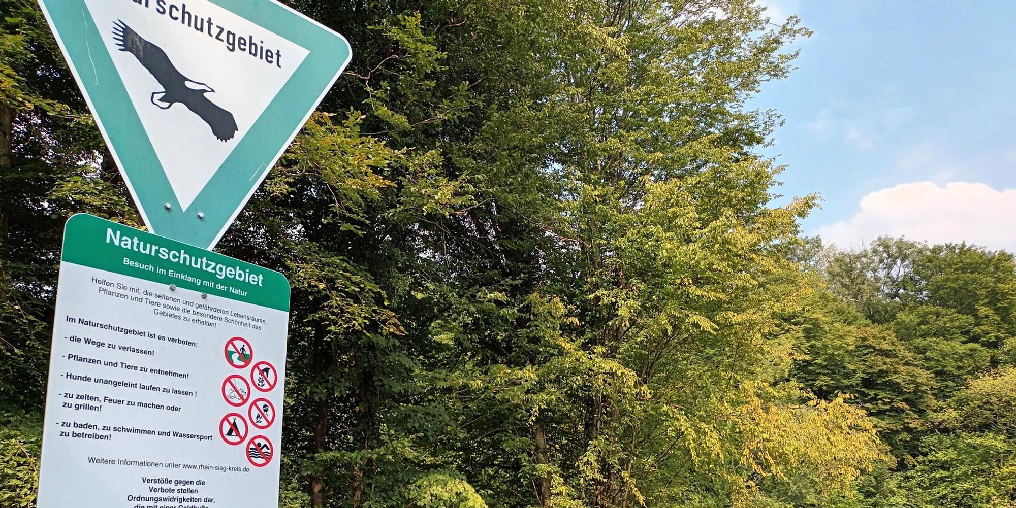 Neuer Inhalt (3)