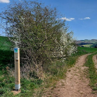 sli-5052020-eifelspuren-muenstereifelsteig