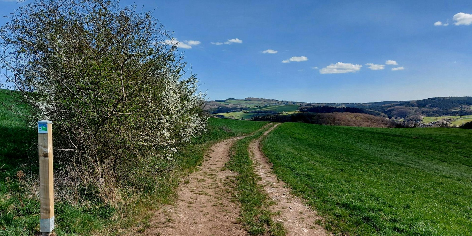 sli-5052020-eifelspuren-muenstereifelsteig
