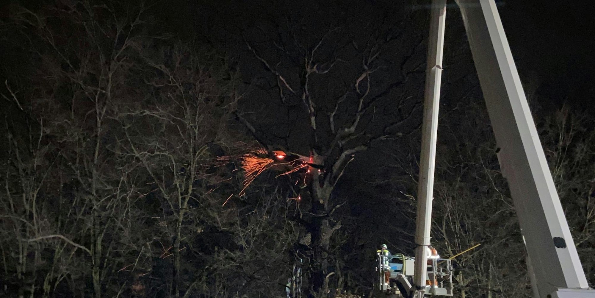 Hambi Feuer 12012021