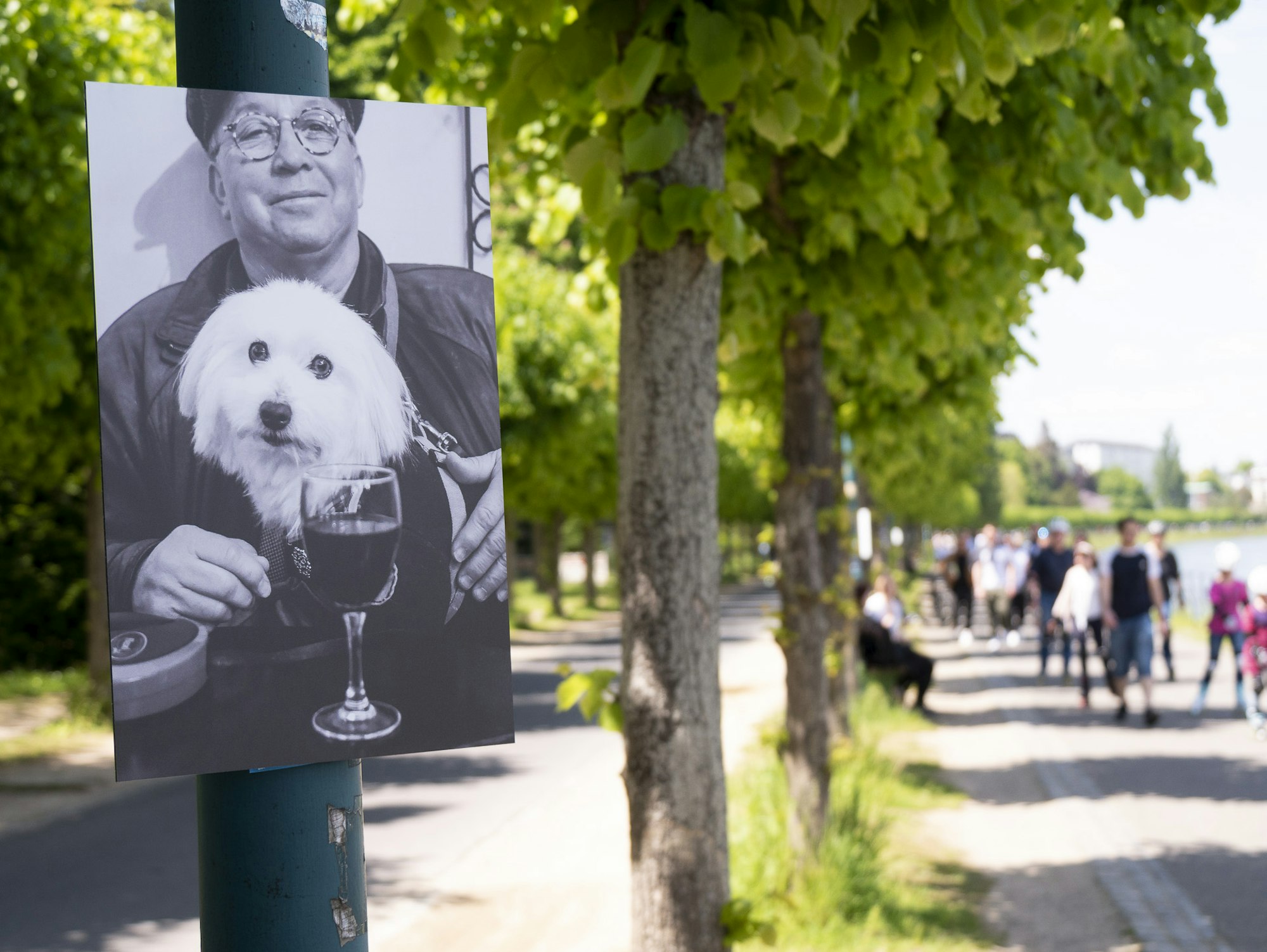 Kunstspaziergang_Rheinufer_Bonn3