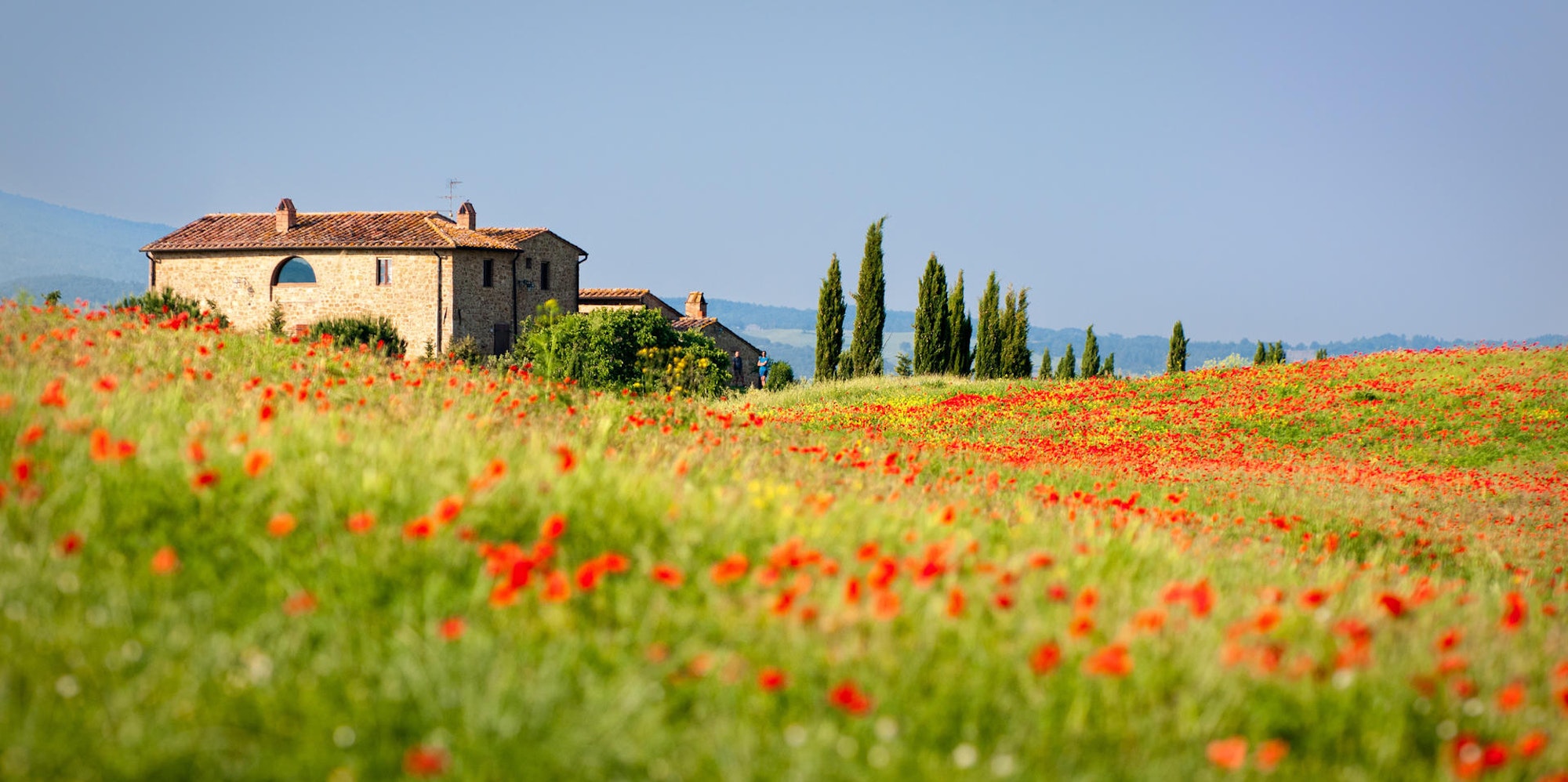 AdobeStock_33222871