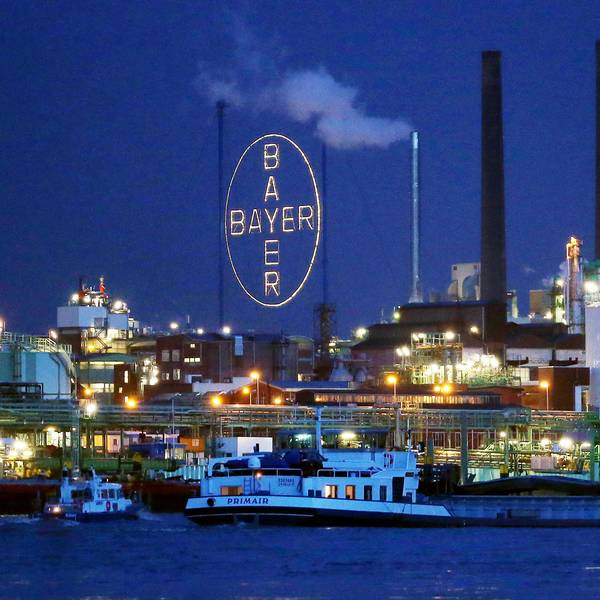 Bayer