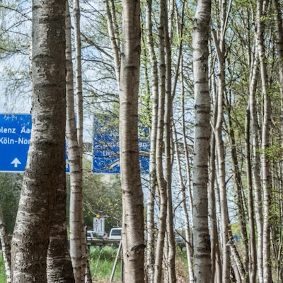 leverkusen-buergerbusch--ALF_2001