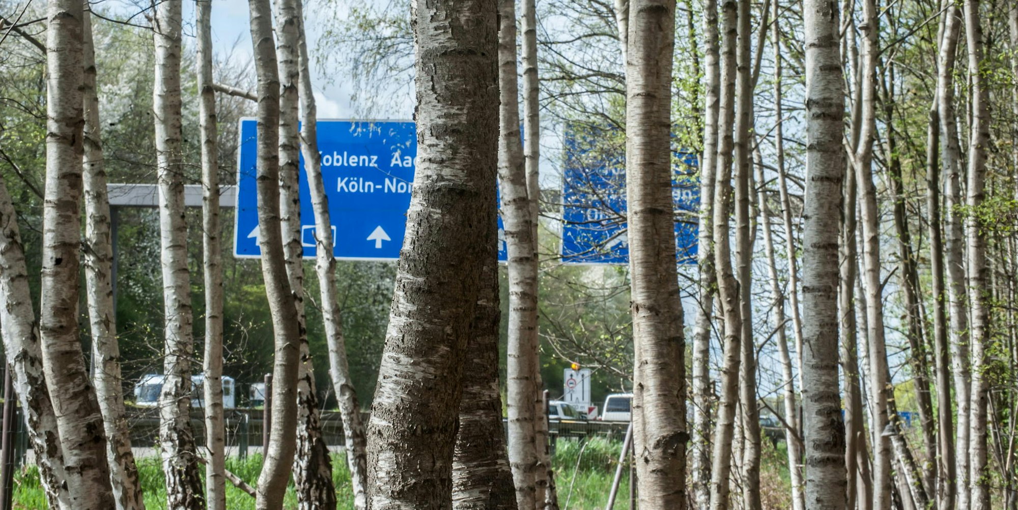 leverkusen-buergerbusch--ALF_2001