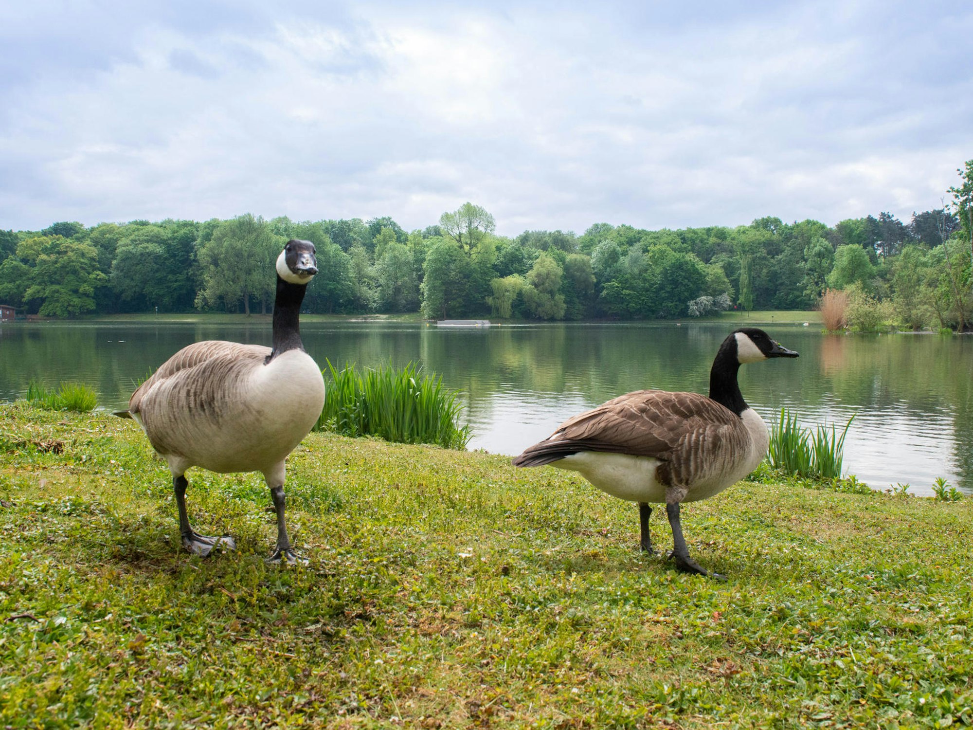 MDS-KSTA-2020-05-08-71-160776743