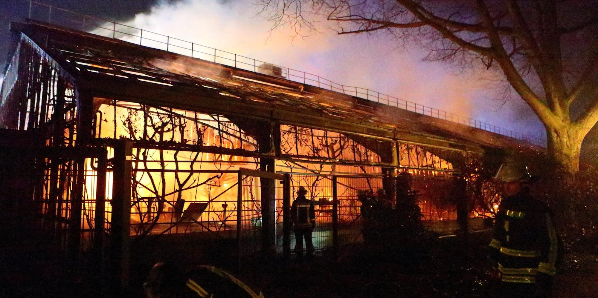 Krefled ein Jahr danach