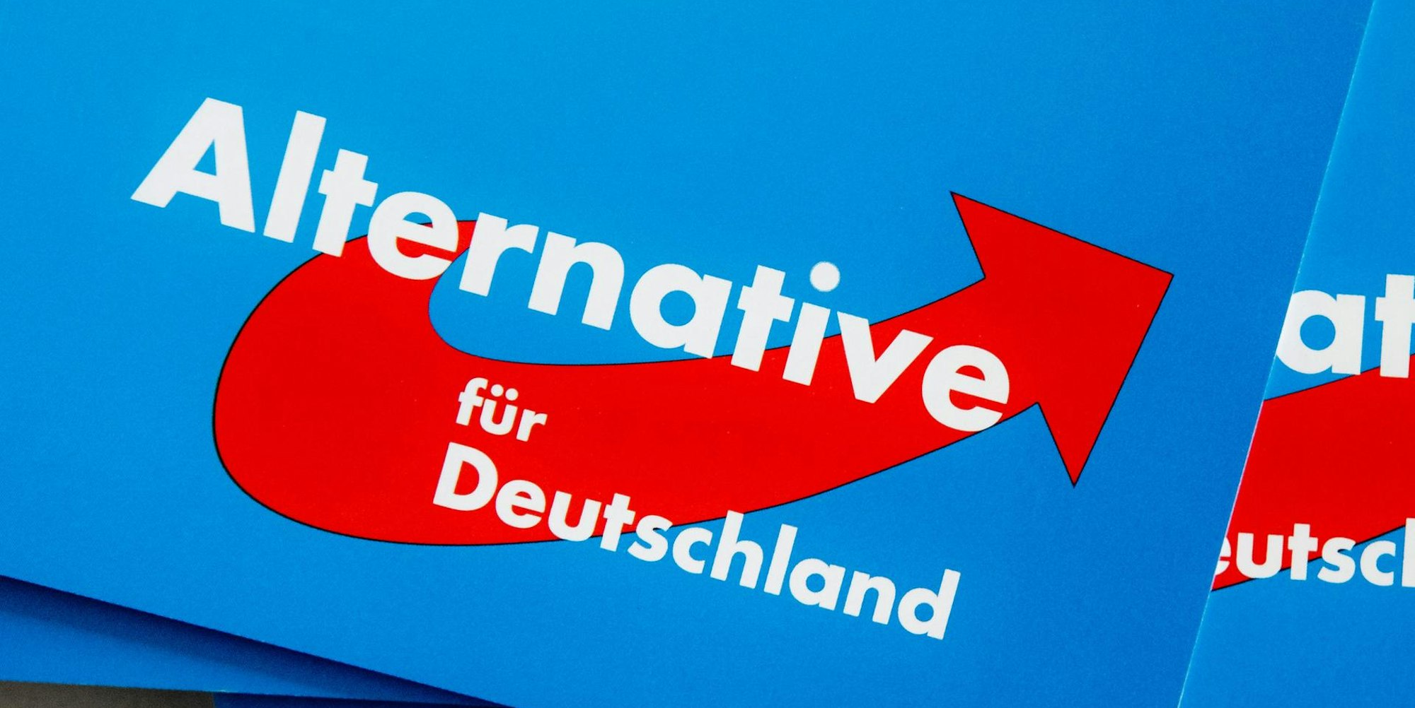 AfD Kritik 121019