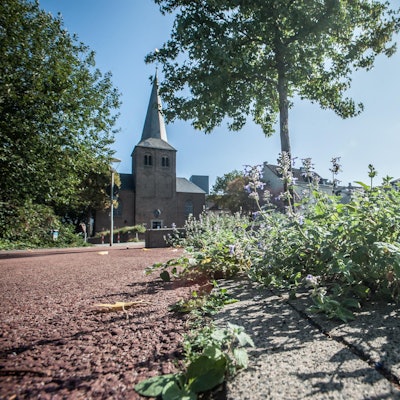 westl-wiesdorf-leverkusen_ALF_8961