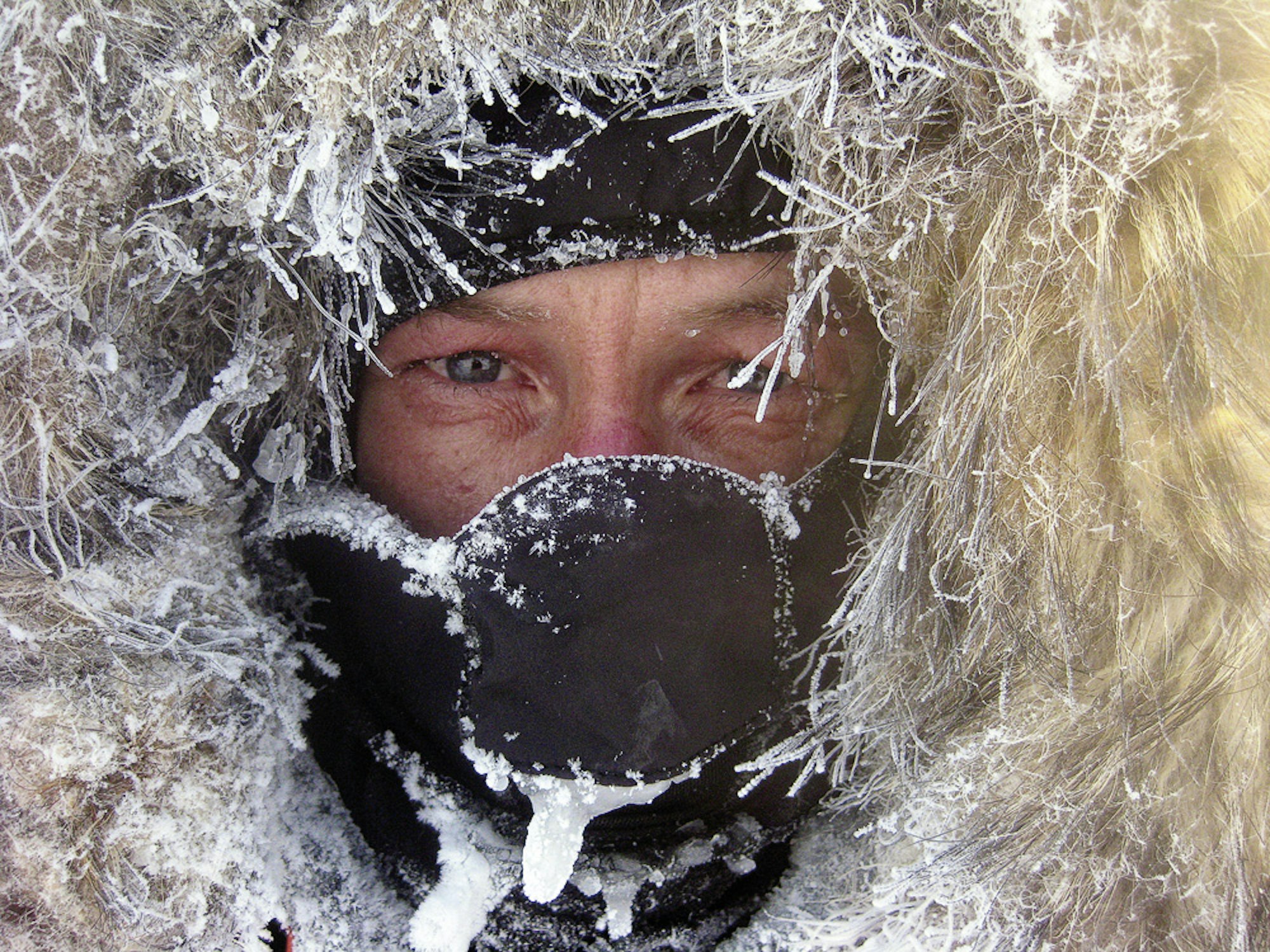 arctica_copeland_teneues (4)