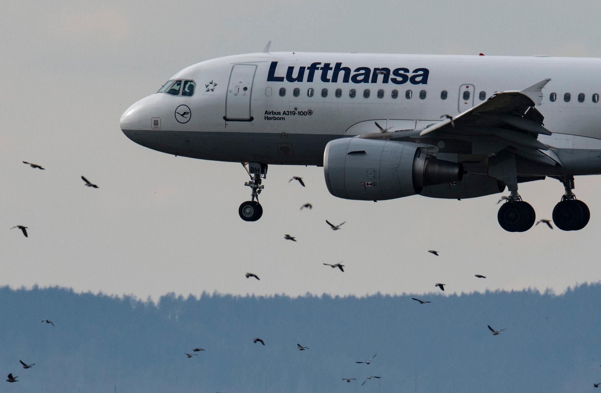 Lufthansa Flughafen dpa