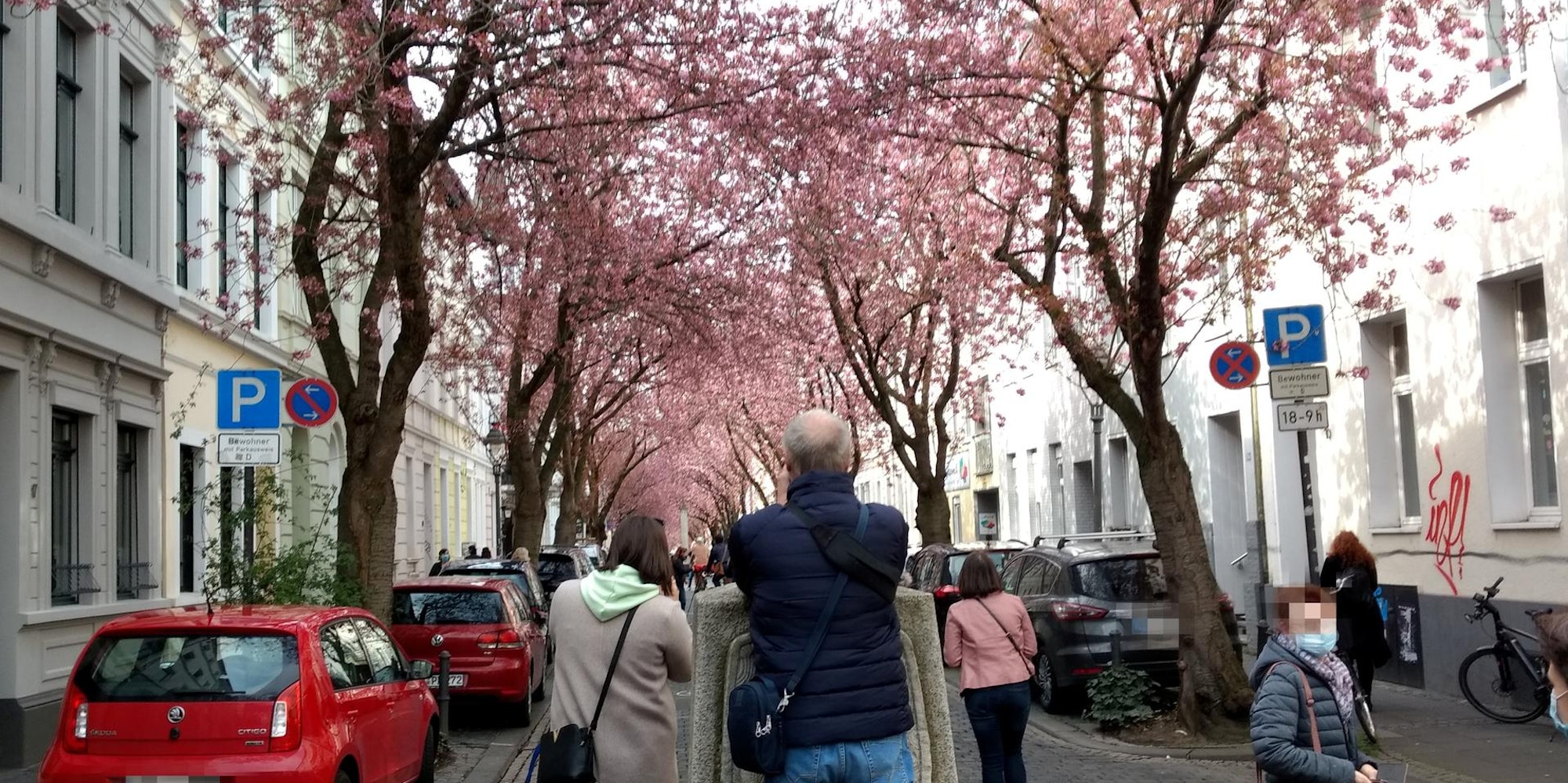 Zierkirsche_Sonnenschein3