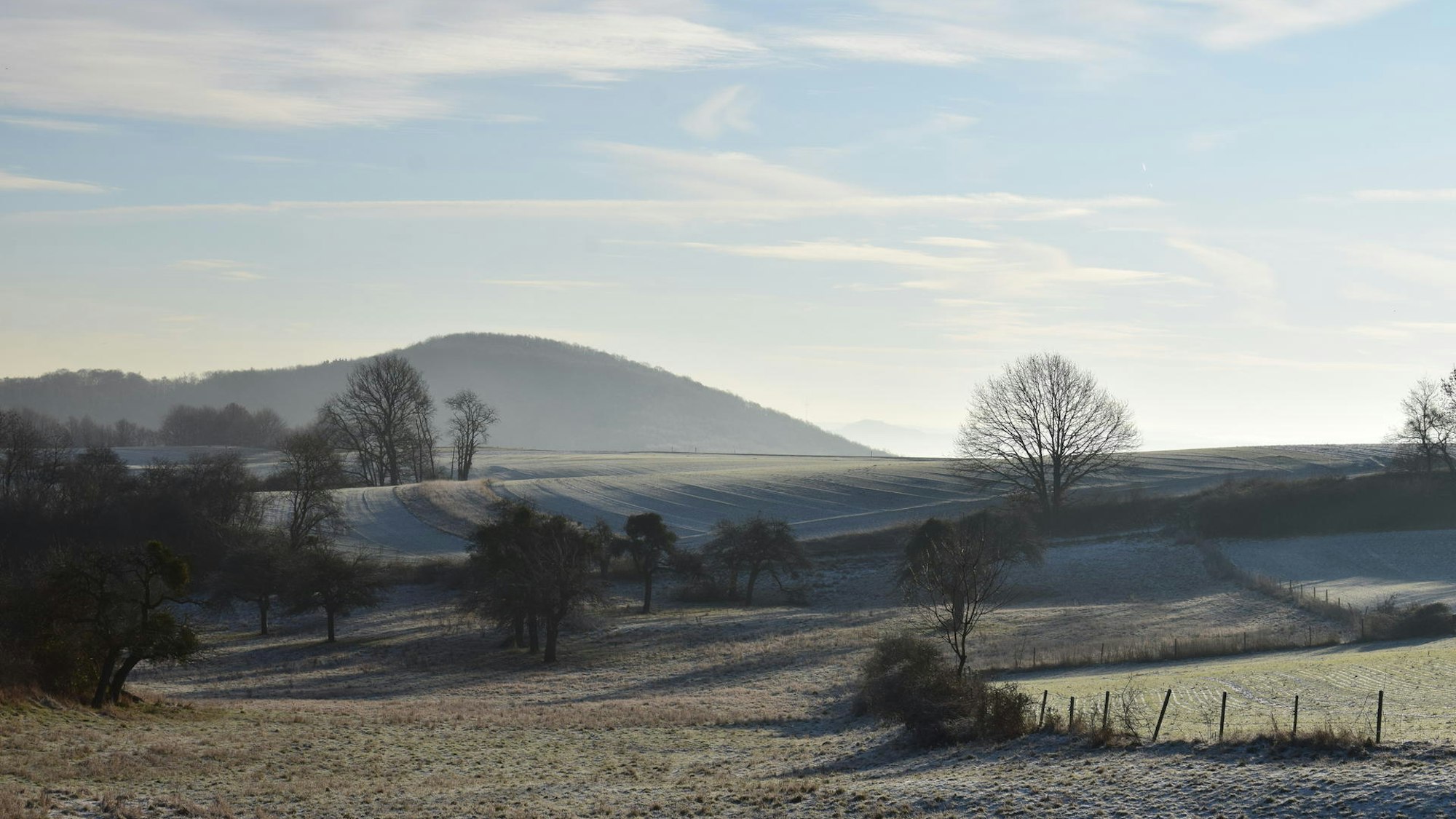 Frostige Eifel-Landschaft im Winter
