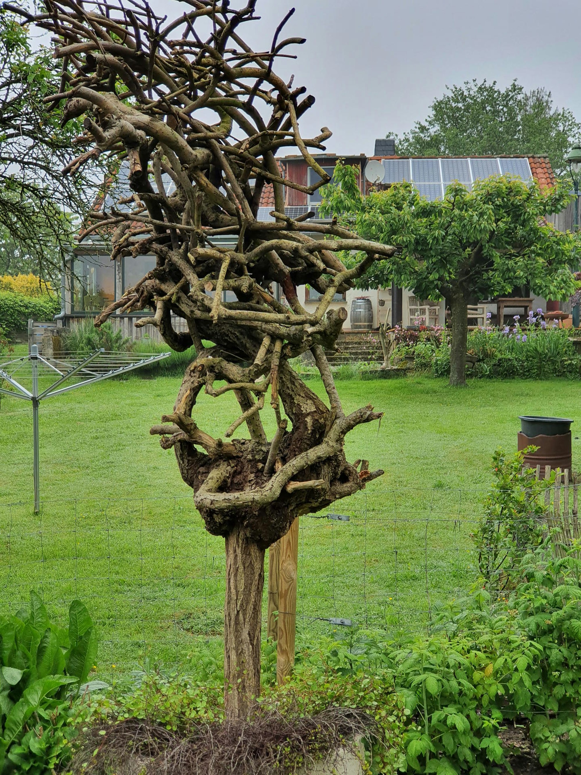 Bergische_gartentour3