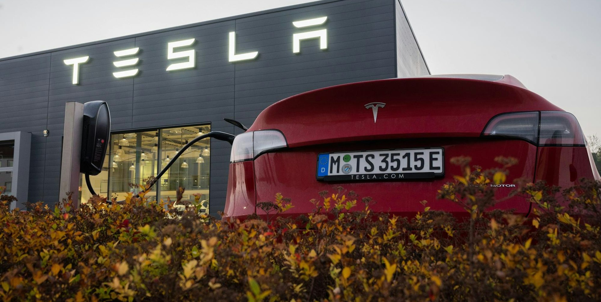 Tesla Rekordgewinn 2021