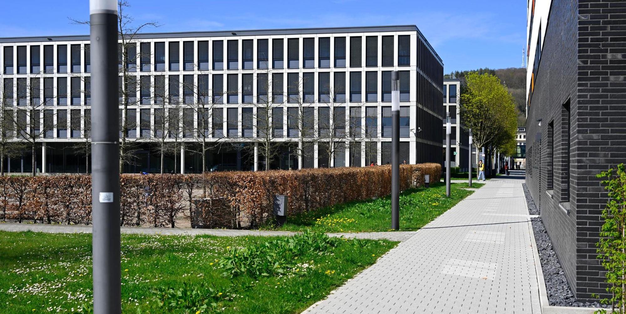 Steinmuellergel