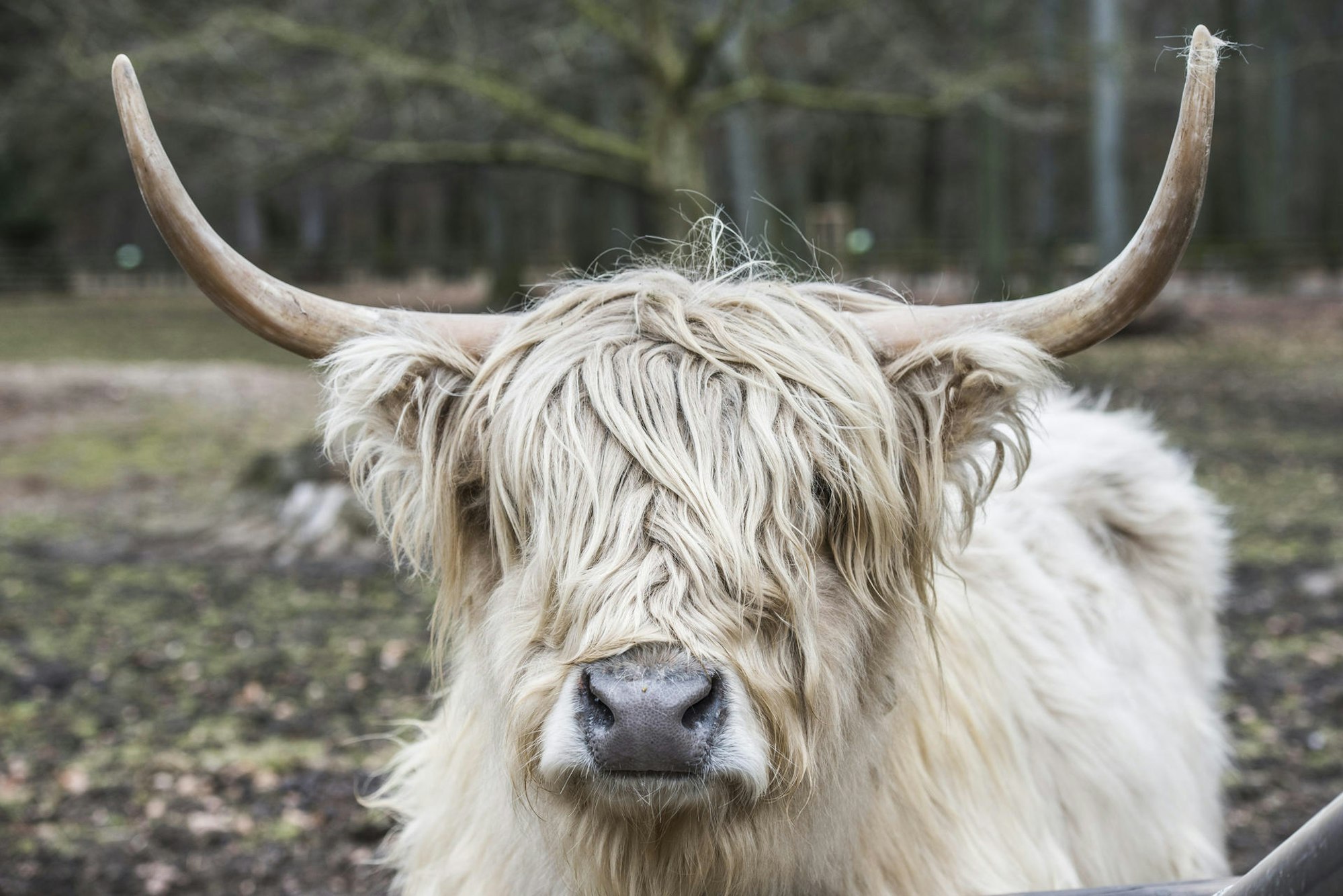 MDS-KSTA-2018-04-03-71-130203474