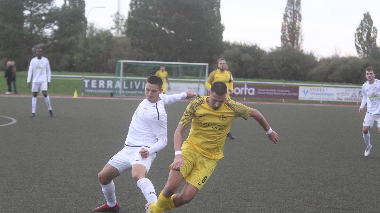 Fußball, Landesliga, Meisterschaftsspiel, TuS Mondorf