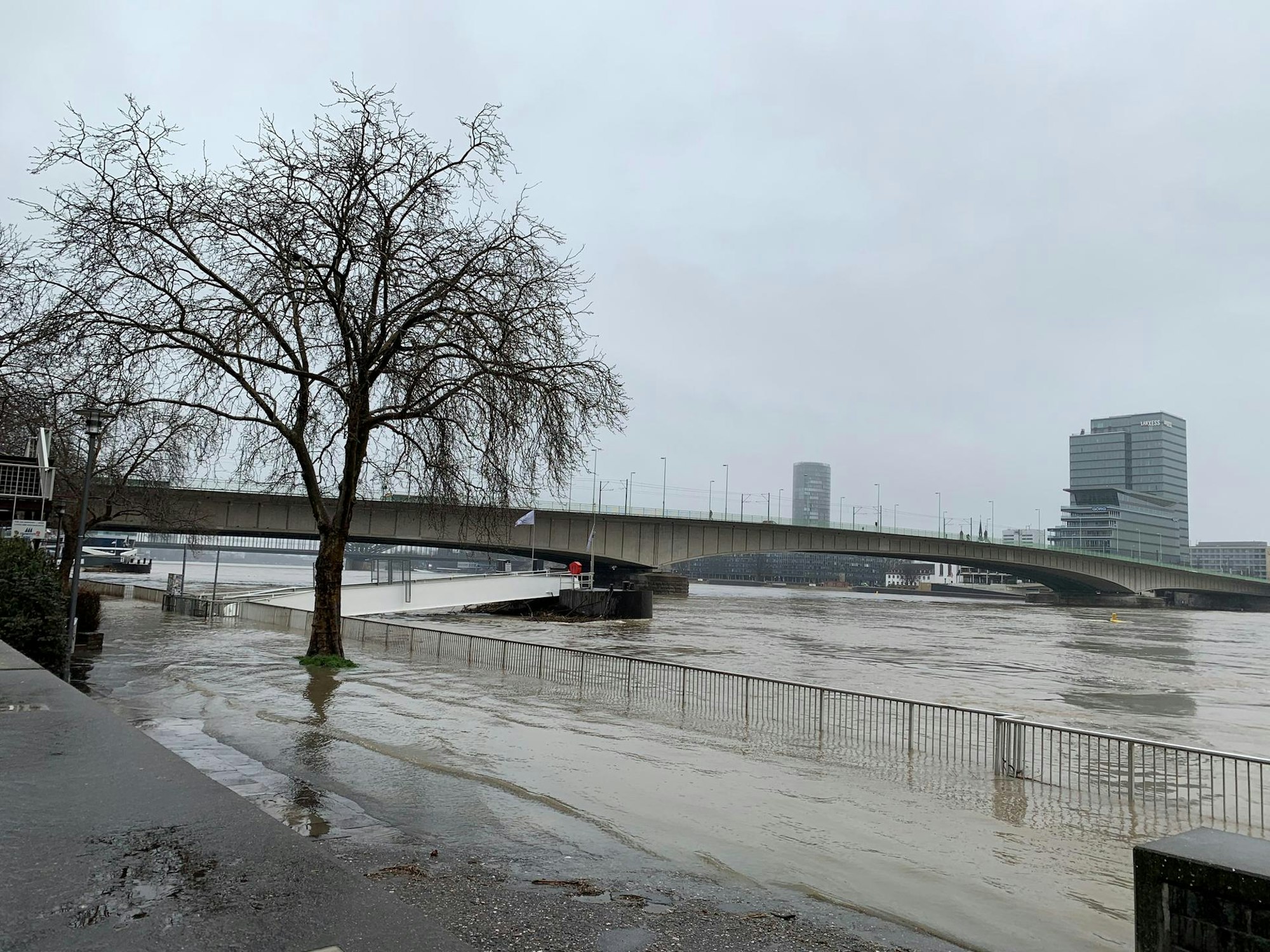 hochwasser Köln