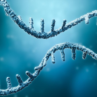 GettyImages-1295693748