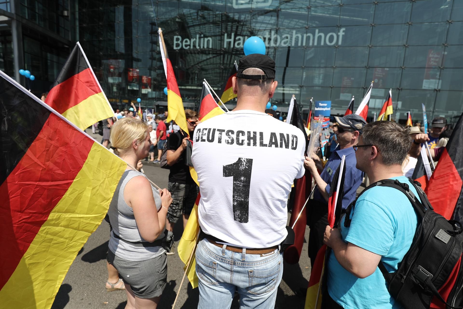 AfD Demo Berlin