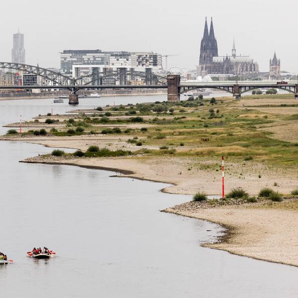 Rhein mit Niedrigwasser