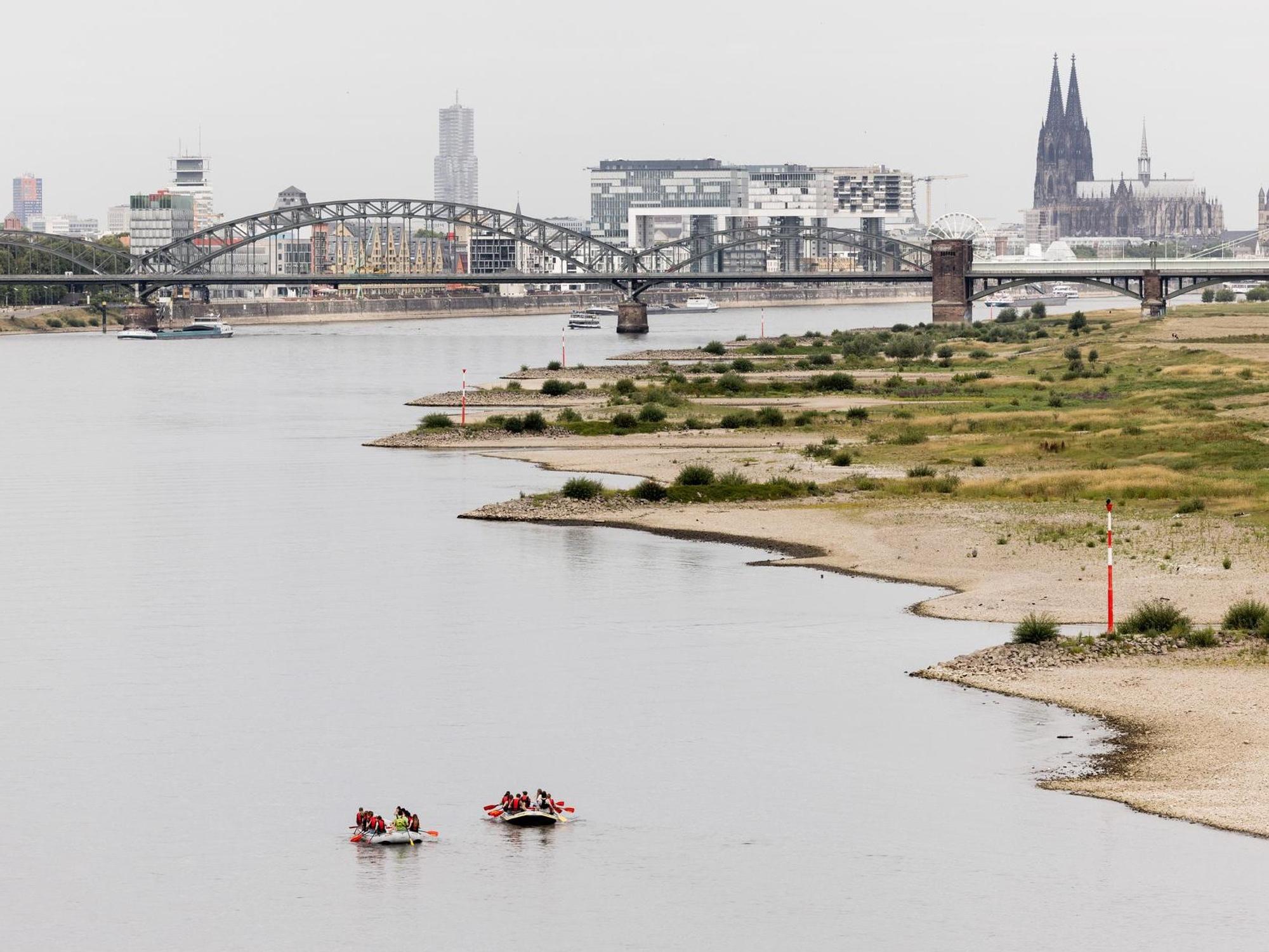 Rhein mit Niedrigwasser