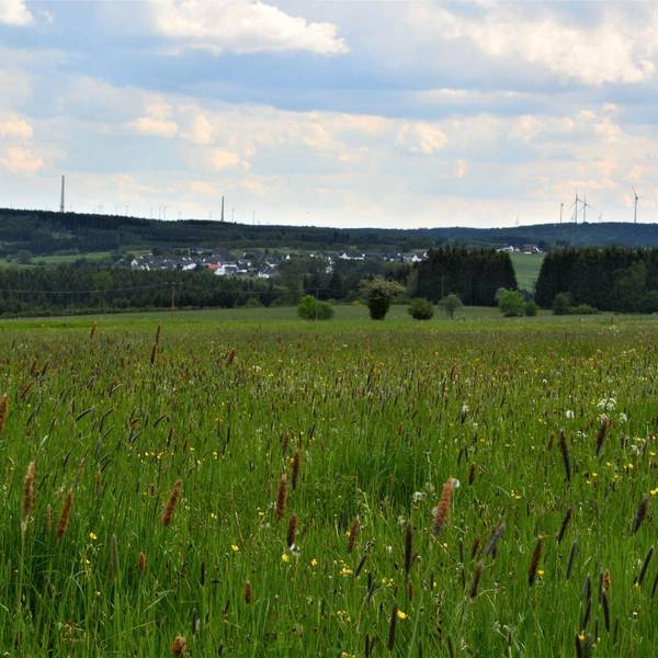 windpark_Dahlem2