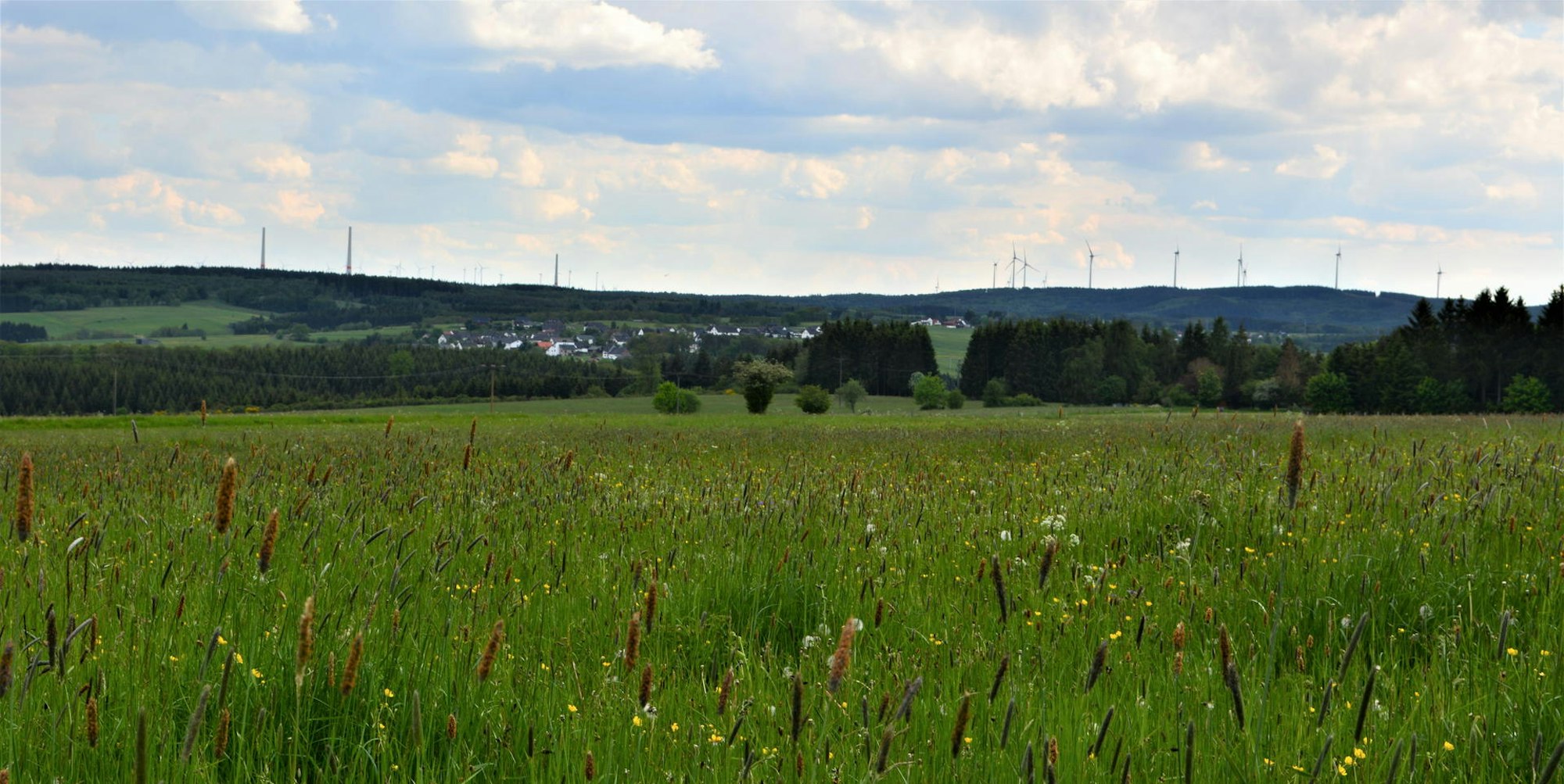 windpark_Dahlem2