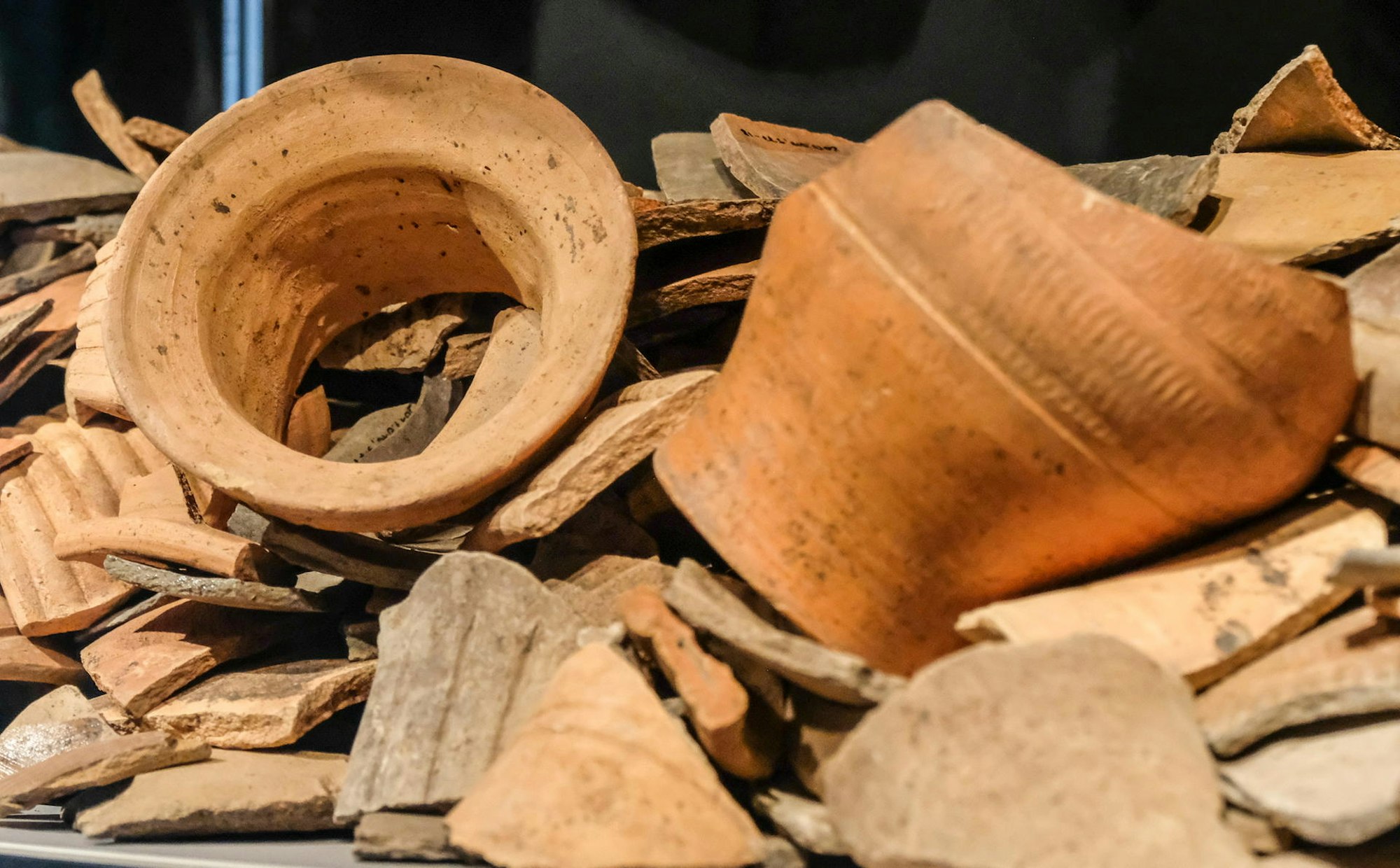 20191025_Funde_HGM_03