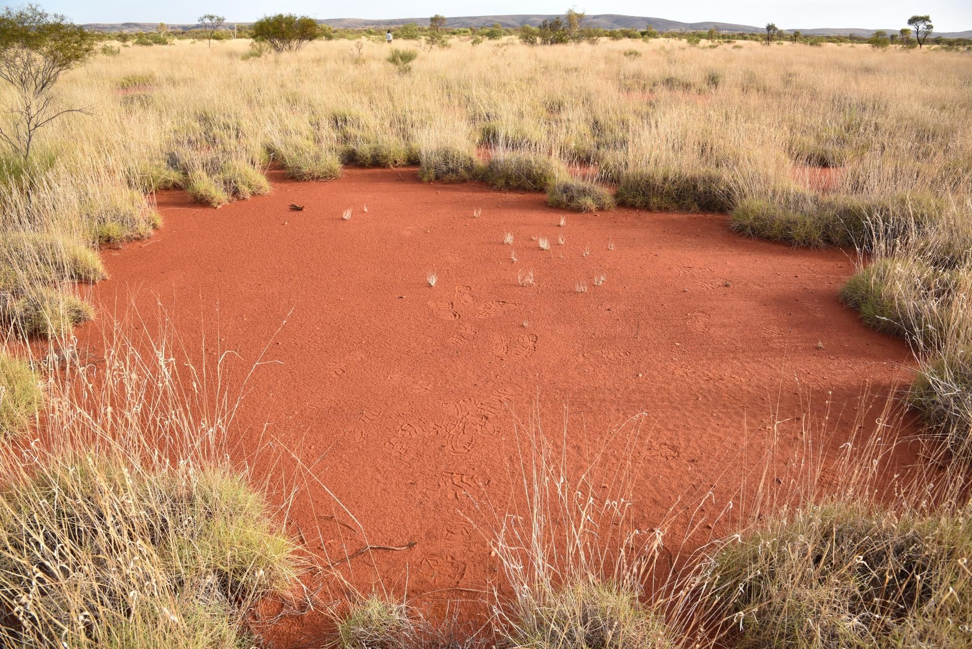 Outback Australien