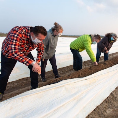 Spargelstechen Meckenheim (1)