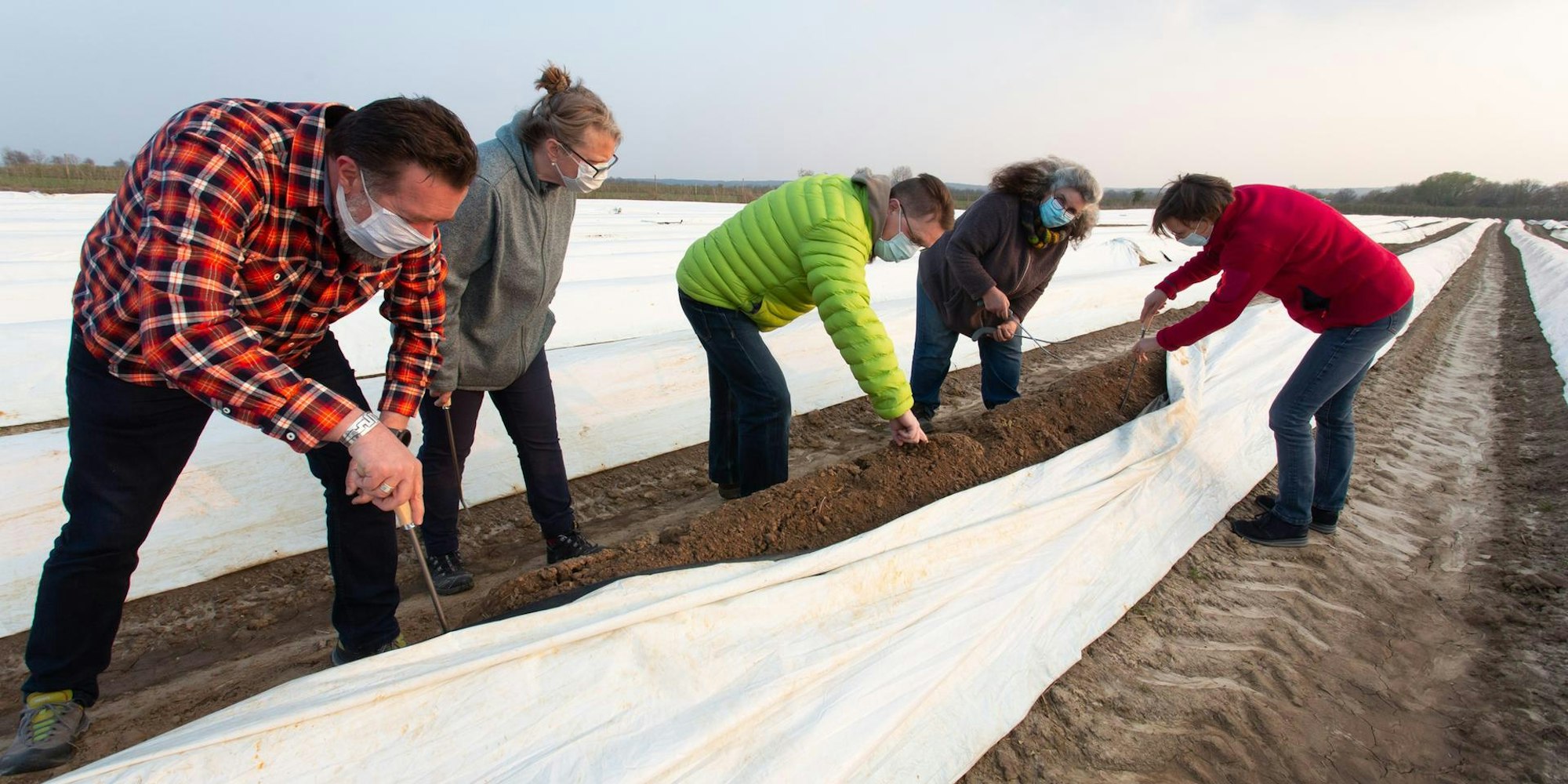 Spargelstechen Meckenheim (1)