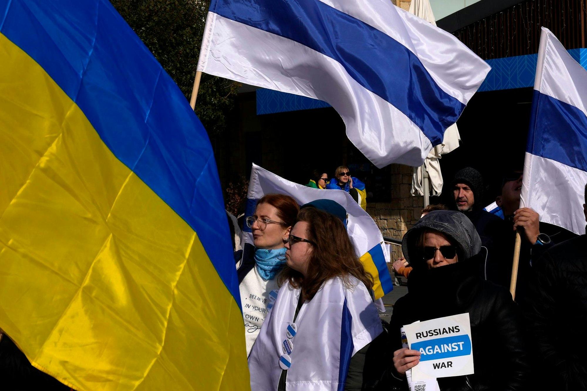 Zyper Protest weiß-blau 1303