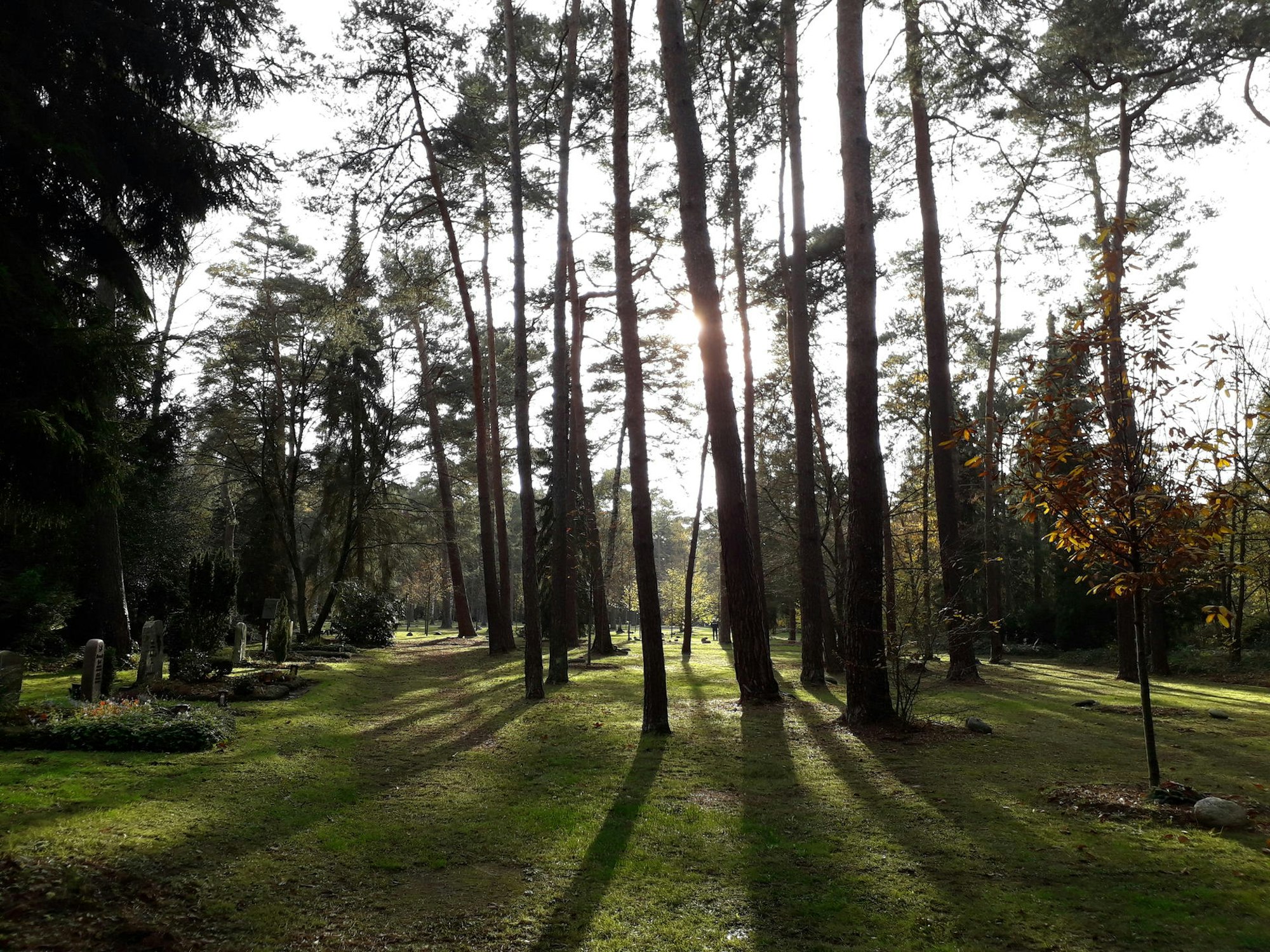 20201114_Ostfriedhof_quer_2