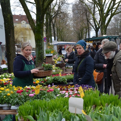 akr20180310Veedels-Check_Riehl_Markt1