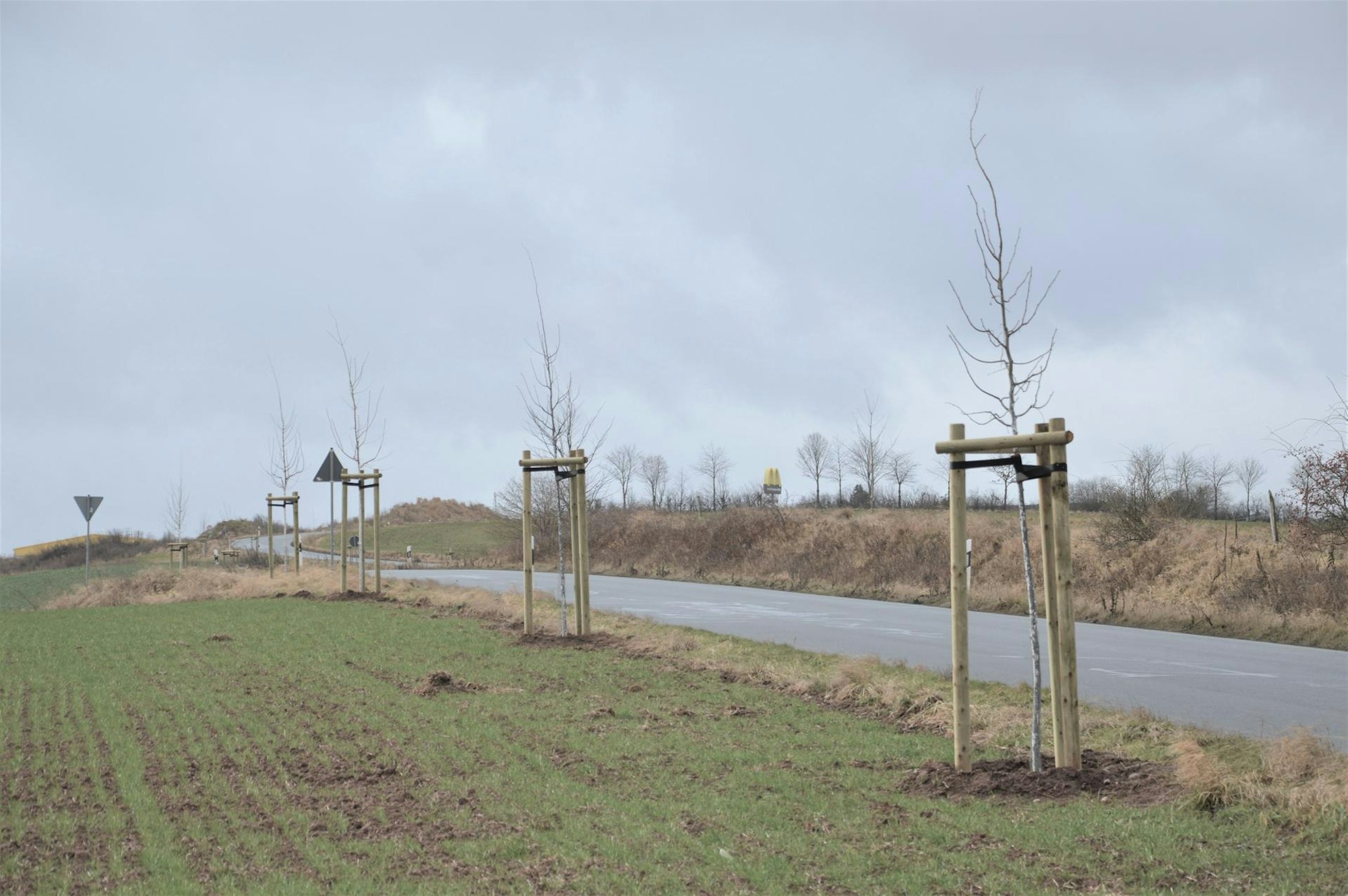 Umweltprojekte Scheven_003