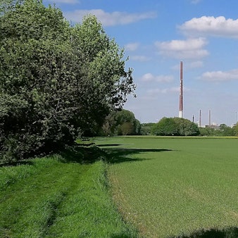 tier1_2018_05_08_KSTAB_MDS-KSTA-2018-05-08-71-132168976