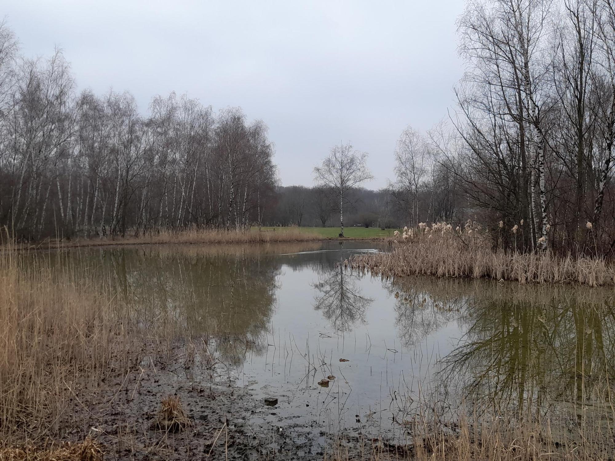 bes-golfplatz10