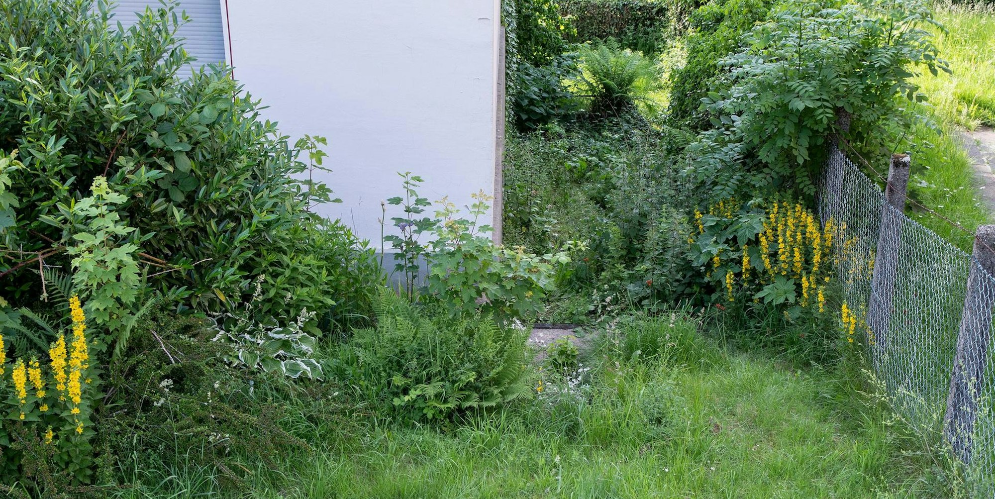 Fundort Baby Kierspe