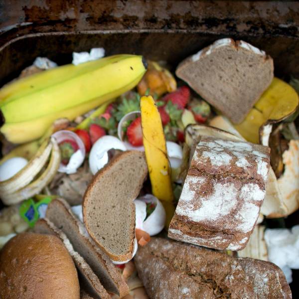 verschwendung lebensmittel müll tonne